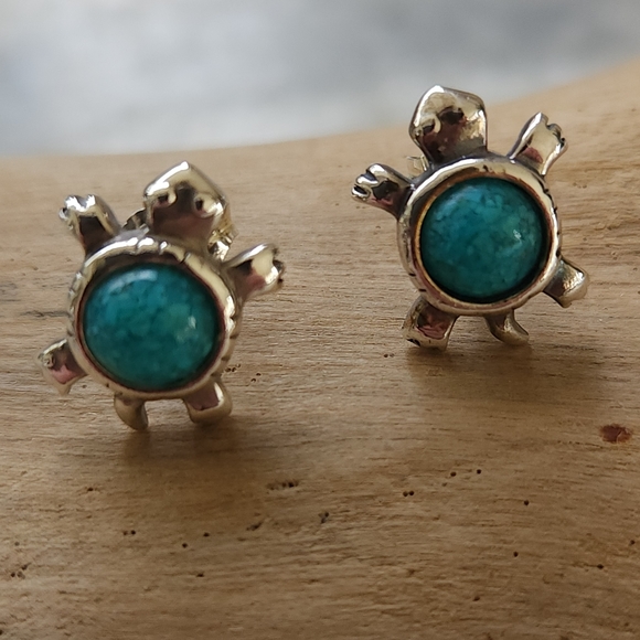 Jewelry Native Turquoise Turtle Earrings Poshmark